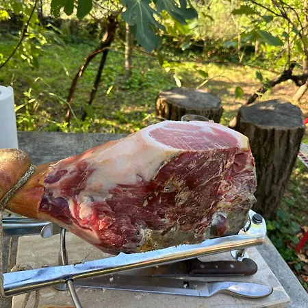 Moulin A Vipava Apartman *